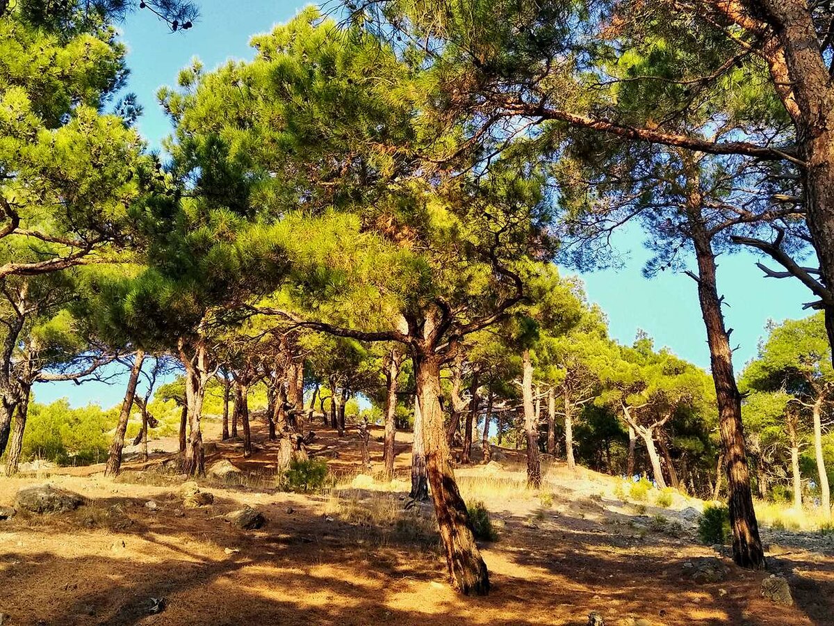 Кадр из экскурсии, урочище Аязьма