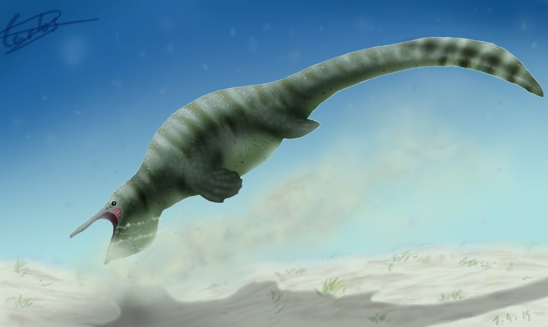 Одна из ранних реконструкций внешнего вида древнего утконоса