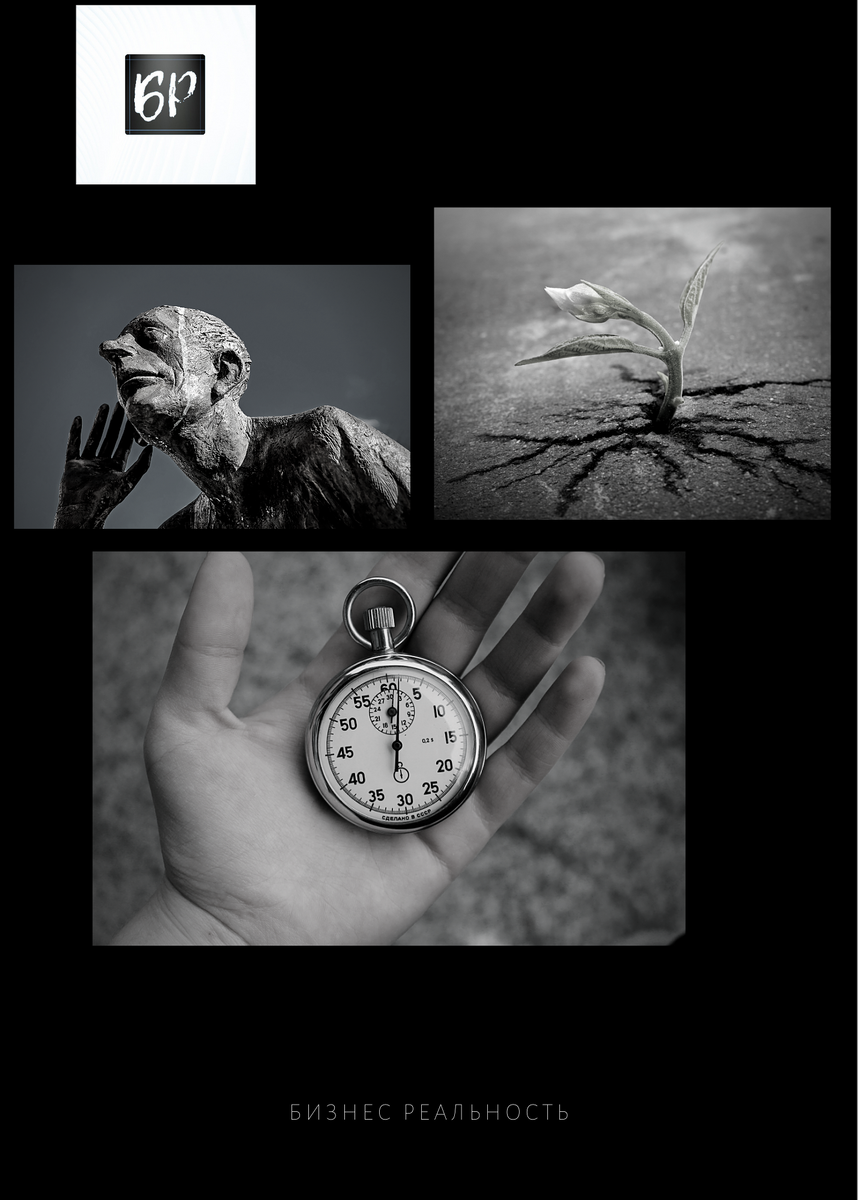Работа автора. Canva.com