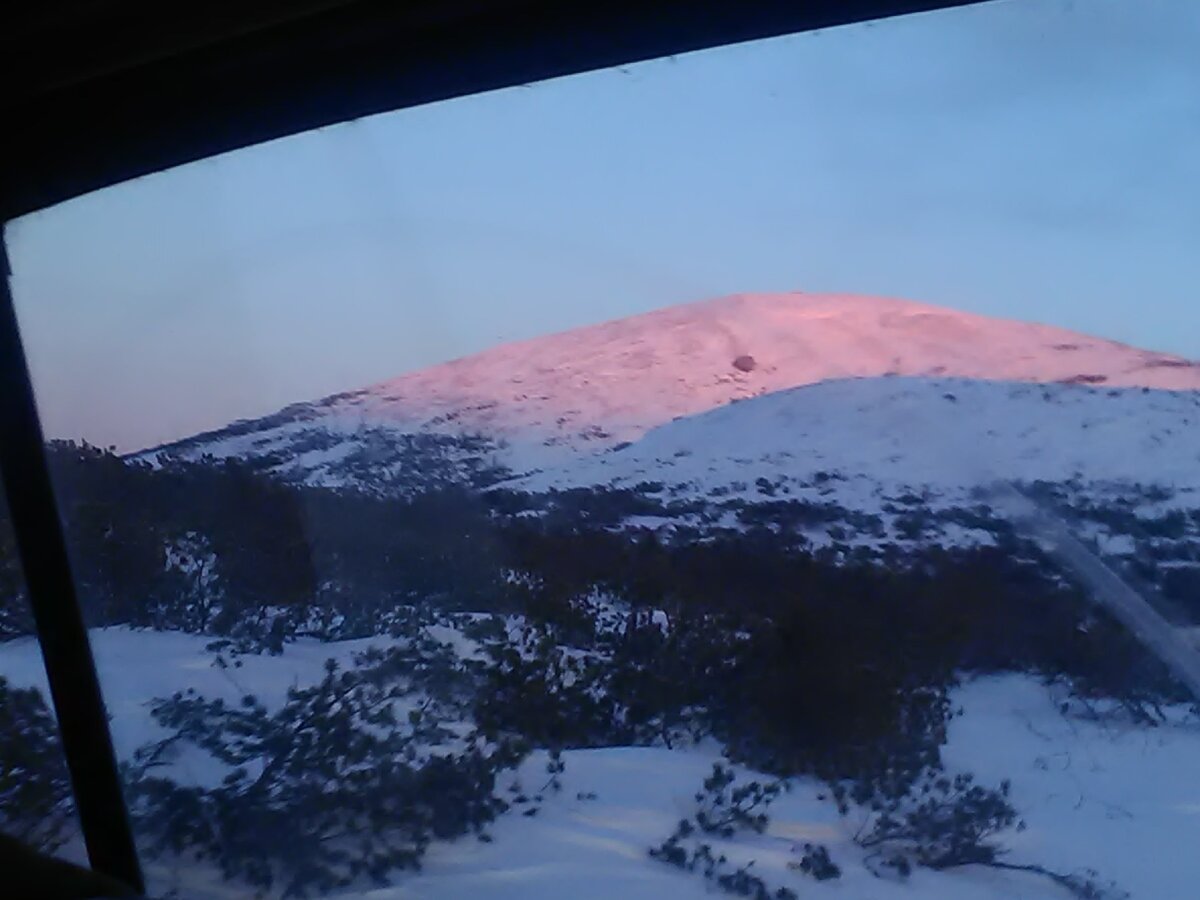 Место работы