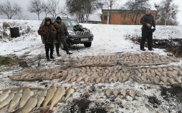 Фото Государственной инспекции охраны животного и растительного мира 