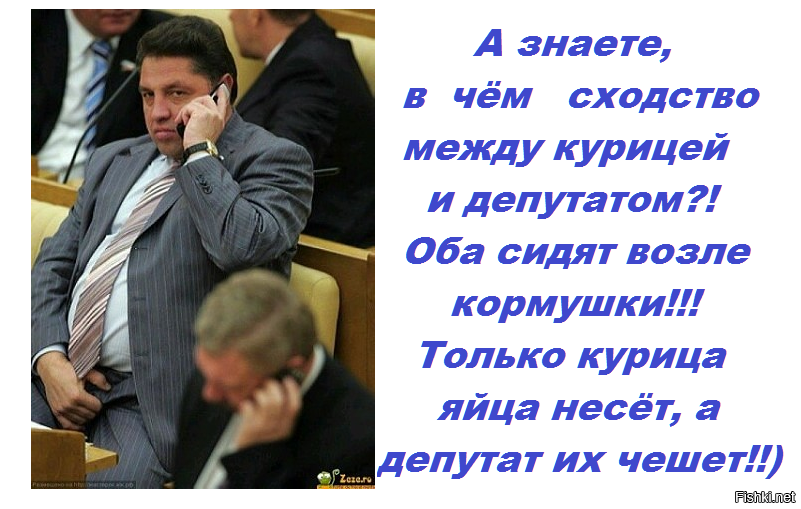 Думы прочь. Депутаты приколы. Анекдоты про депутатов. Шутки про депутатов. Смешные цитаты депутатов.