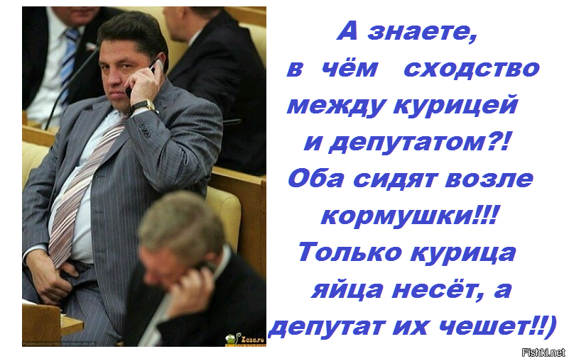 Думу думать буду. Анекдоты про депутатов. Шутки про депутатов. Депутаты приколы. Смешные цитаты депутатов.