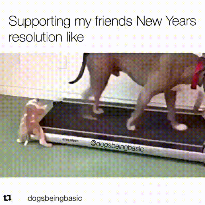 Источник: giphy.com