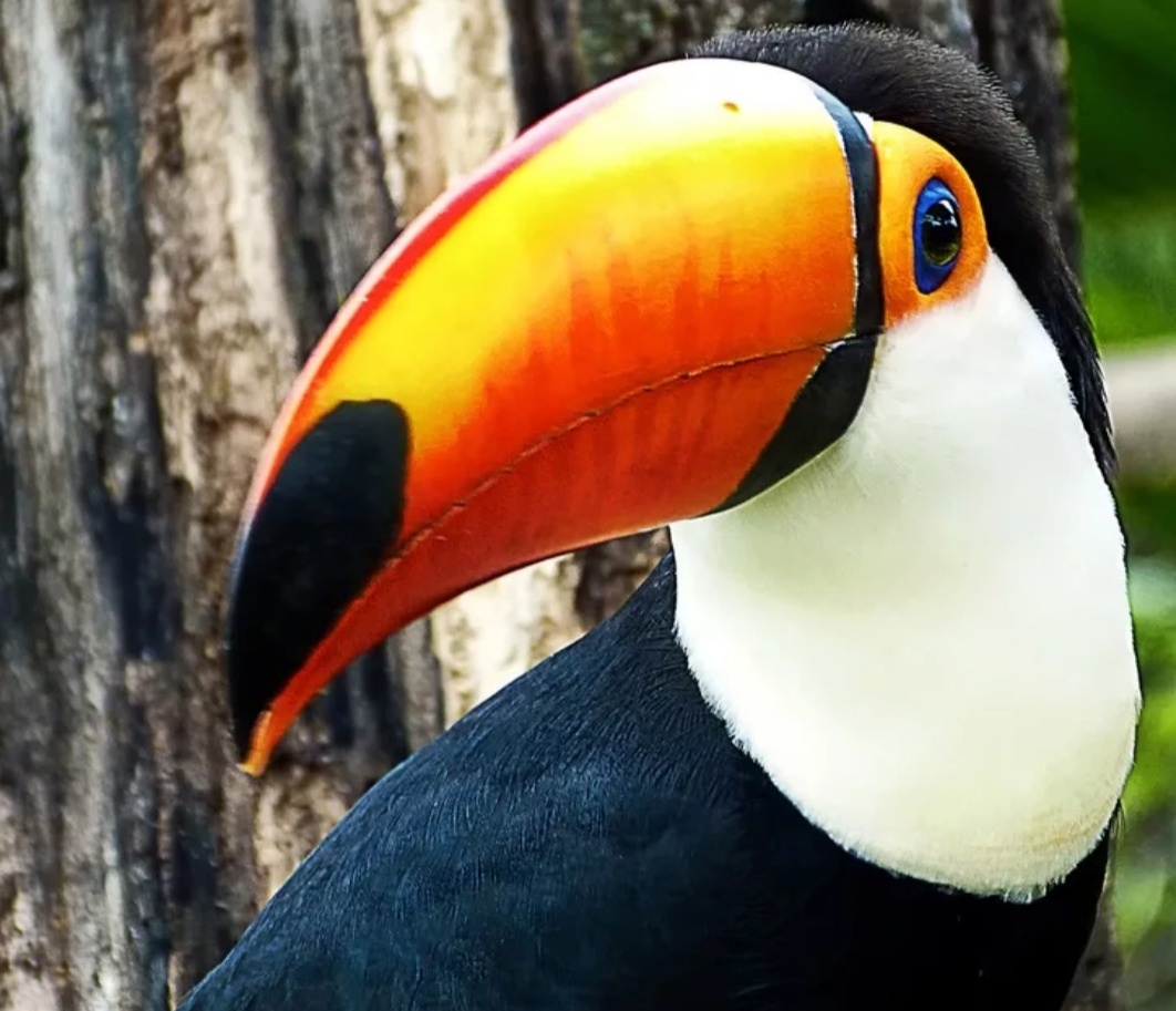 Фото с Яндекса