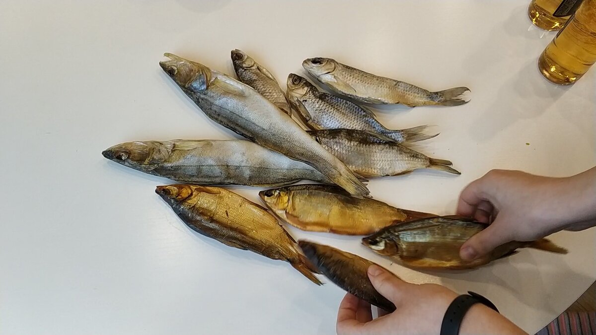 Выбираем самую красивую рыбку