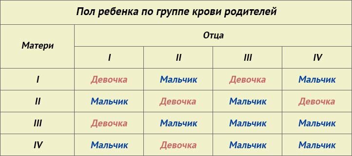 
 По одной из теорий кровь у мужчин обновляется раз в 4 года, в то время  как у женщин — раз в 3 года. Ребенок будет того пола, у кого из  родителей «моложе» кровь. Если моложе у мамы, то будет девочка, если у  папы — мальчик. Но бывает и так, что в естественные процессы происходит  вмешательство: переливание крови, донорство и прочие. В таких случаях  отсчет происходит от события. К сожалению, никто точно не может сказать,  верный это способ или нет, но уже появляются пары, которые «заказывают»  ребенка определенного пола.