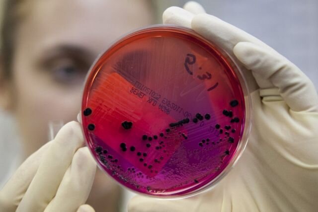 Демонстрационное фото из открытых источников