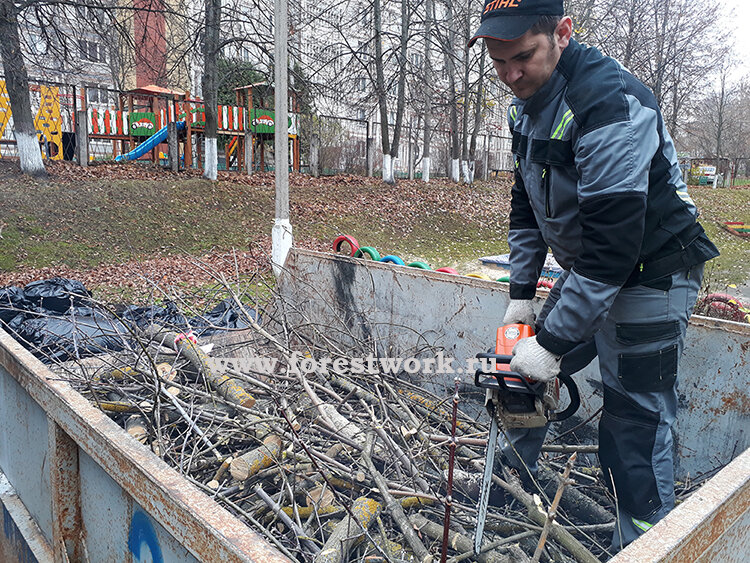Измельчение веток бензопилой в контейнере перед погрузкой крупных фрагментов ствола.