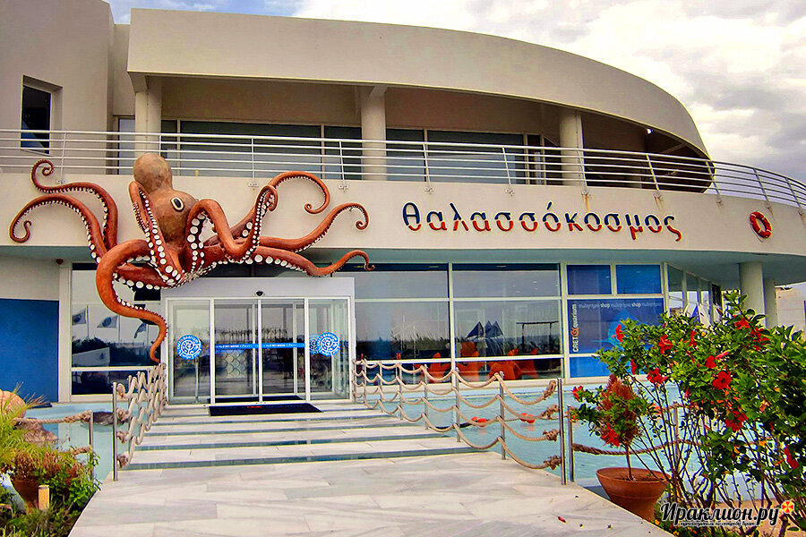 Находится аквариум прямо на берегу моря.