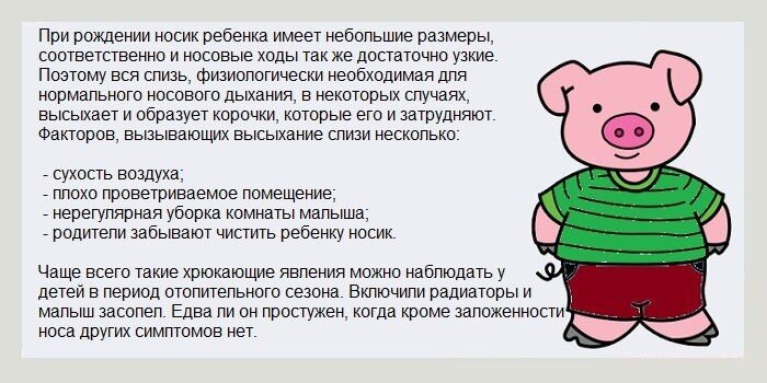 Почему у новорожденных часто хрюкает нос и в нем пусто? Причины и рекомендации