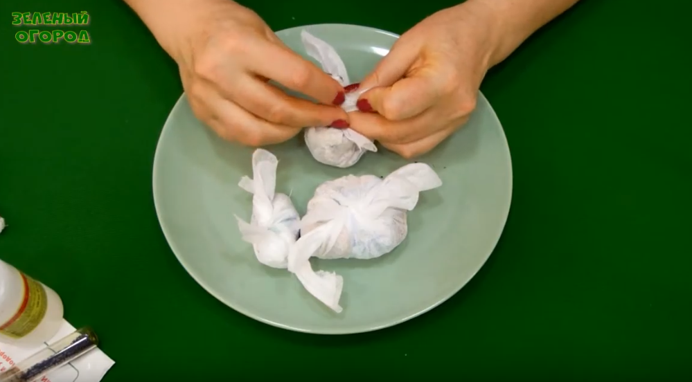 Подготовка семян перед посевом