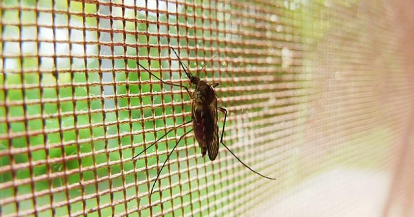 фото взято для иллюстрации 