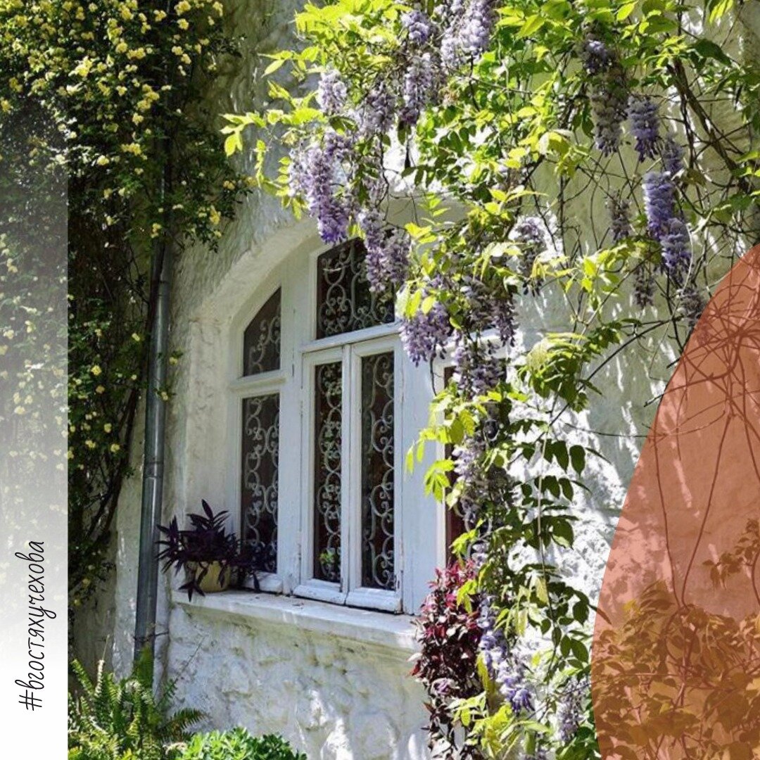 Ялта, музей Чехова 