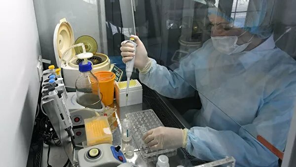 Микробиолог работает с тестом на коронавирус
