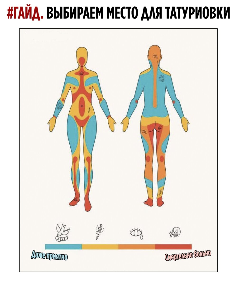 Карта болевых зон для тату