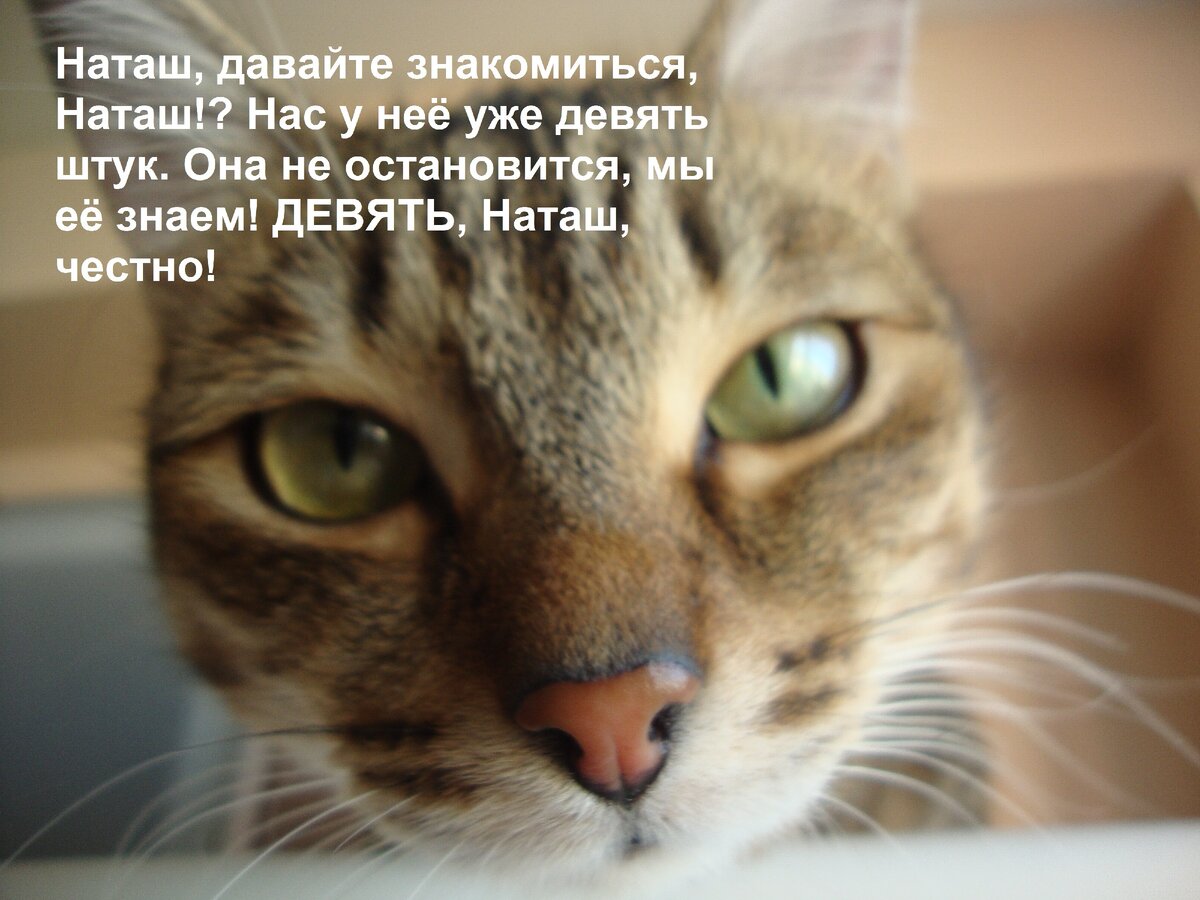 Что этот кожаный мешок себе позволяет? 