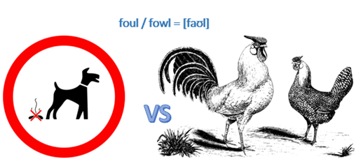 Английские омофоны - foul / fowl = [faʊl]
