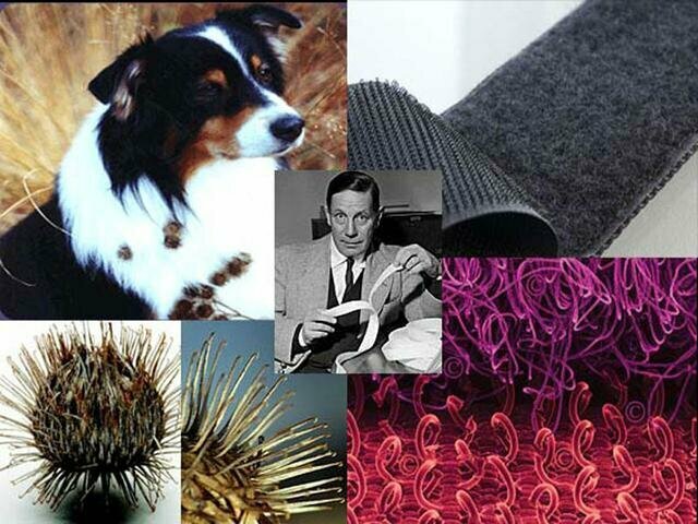 Жорж Местраль