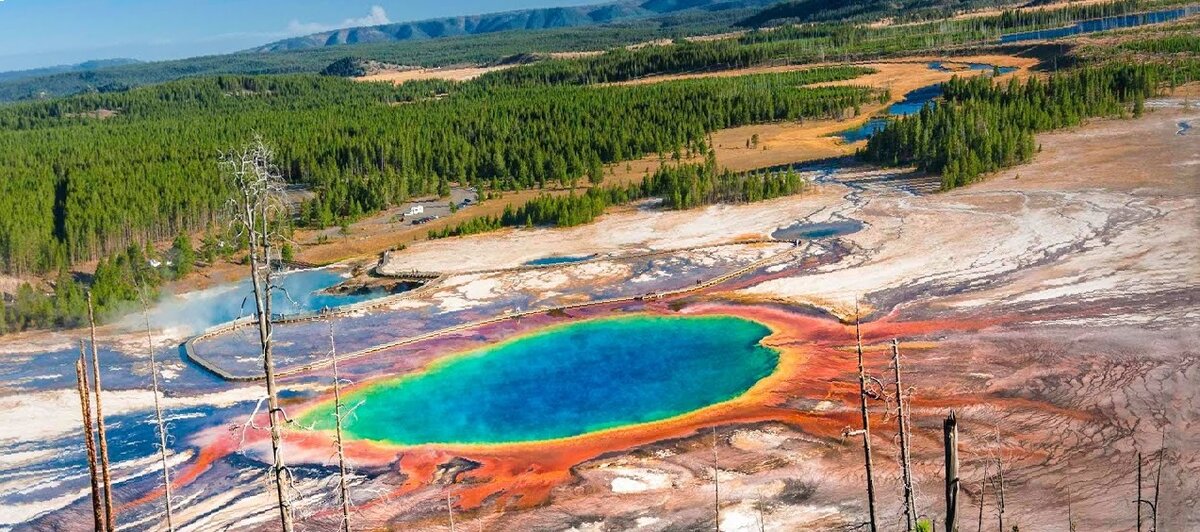 Ужасающая красота. Затаившийся монстр...