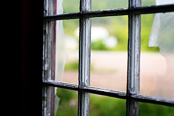 Источник Flickr