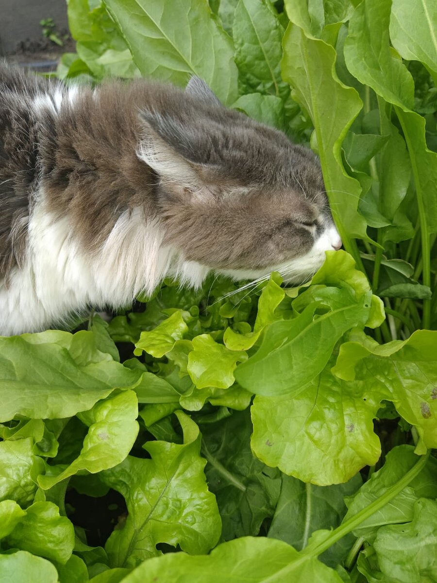 Малышка похудела на 1,5 кг но продолжает радоваться жизни