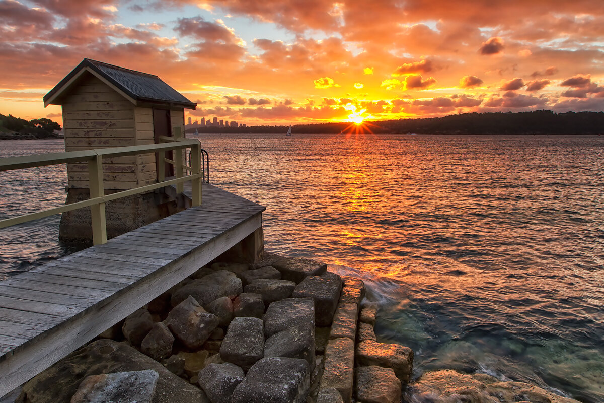 Изображение из открытого источника (Яндекс.ру)