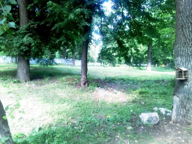 Это со стороны парка у забора школы сплошь стояли гаражи