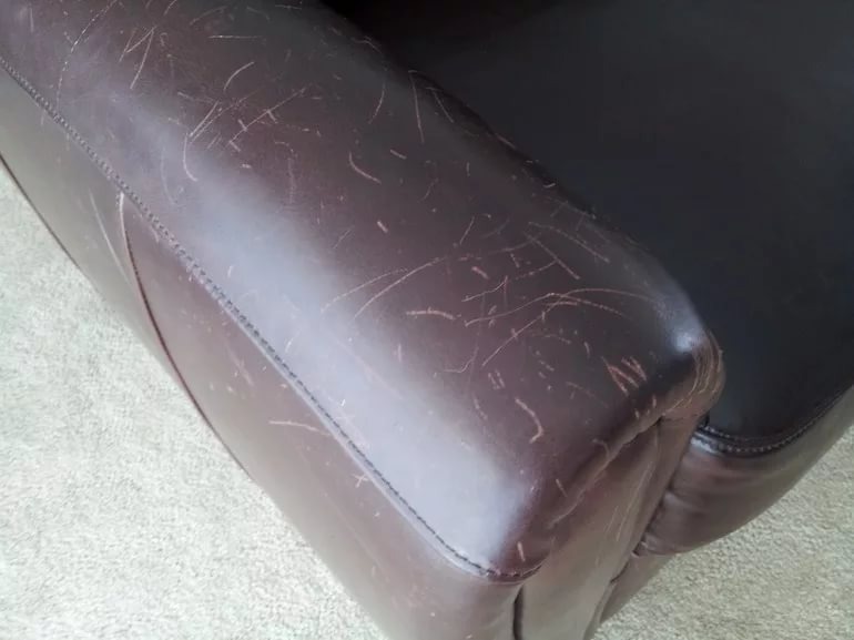 Страшный сон