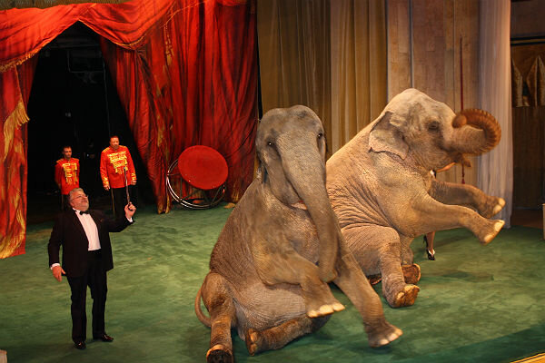 ЮРИЙ ЮРЬЕВИЧ ДУРОВ