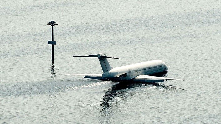 Яндекс Картинки