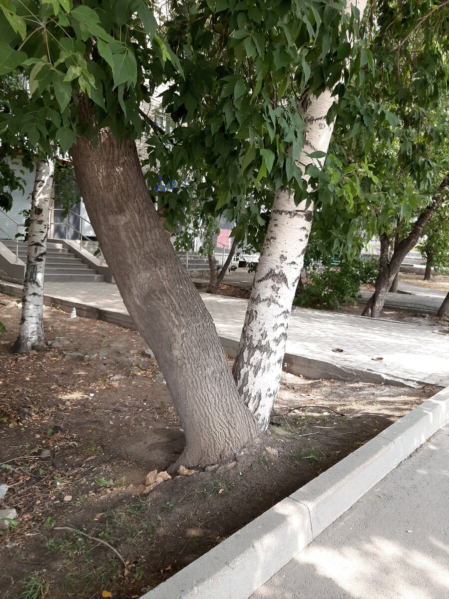 Личная фотография.