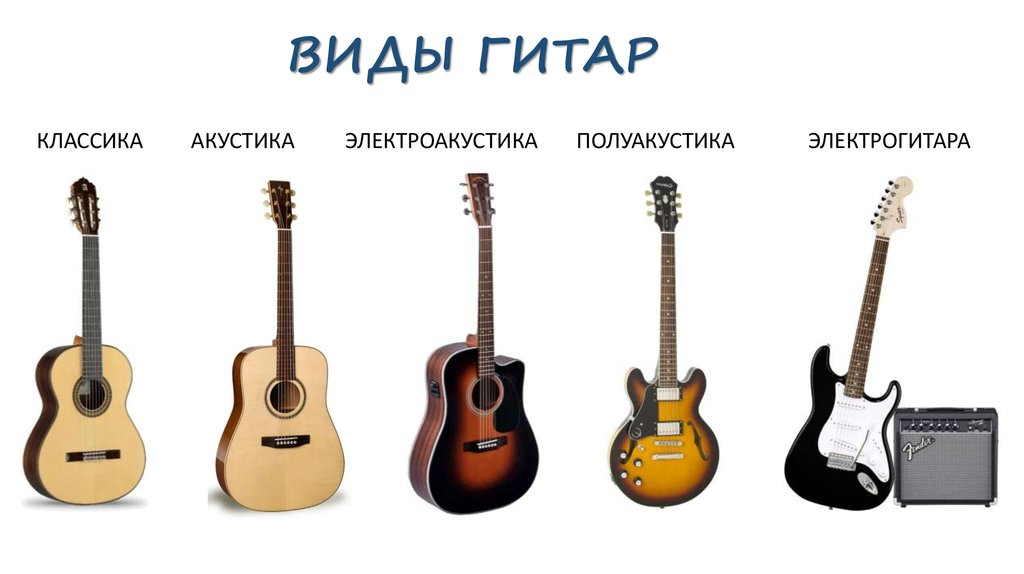 Виды басса. Виды гитар и их различия. Типы корпусов акустических гитар. Типы корпусов электроакустических гитар. Типы корпусов акустических гитар и их названия.