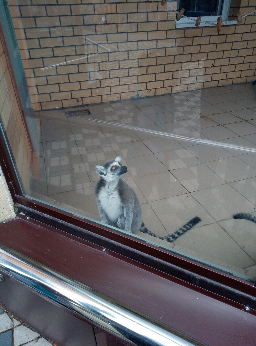                                           Авторская фотография