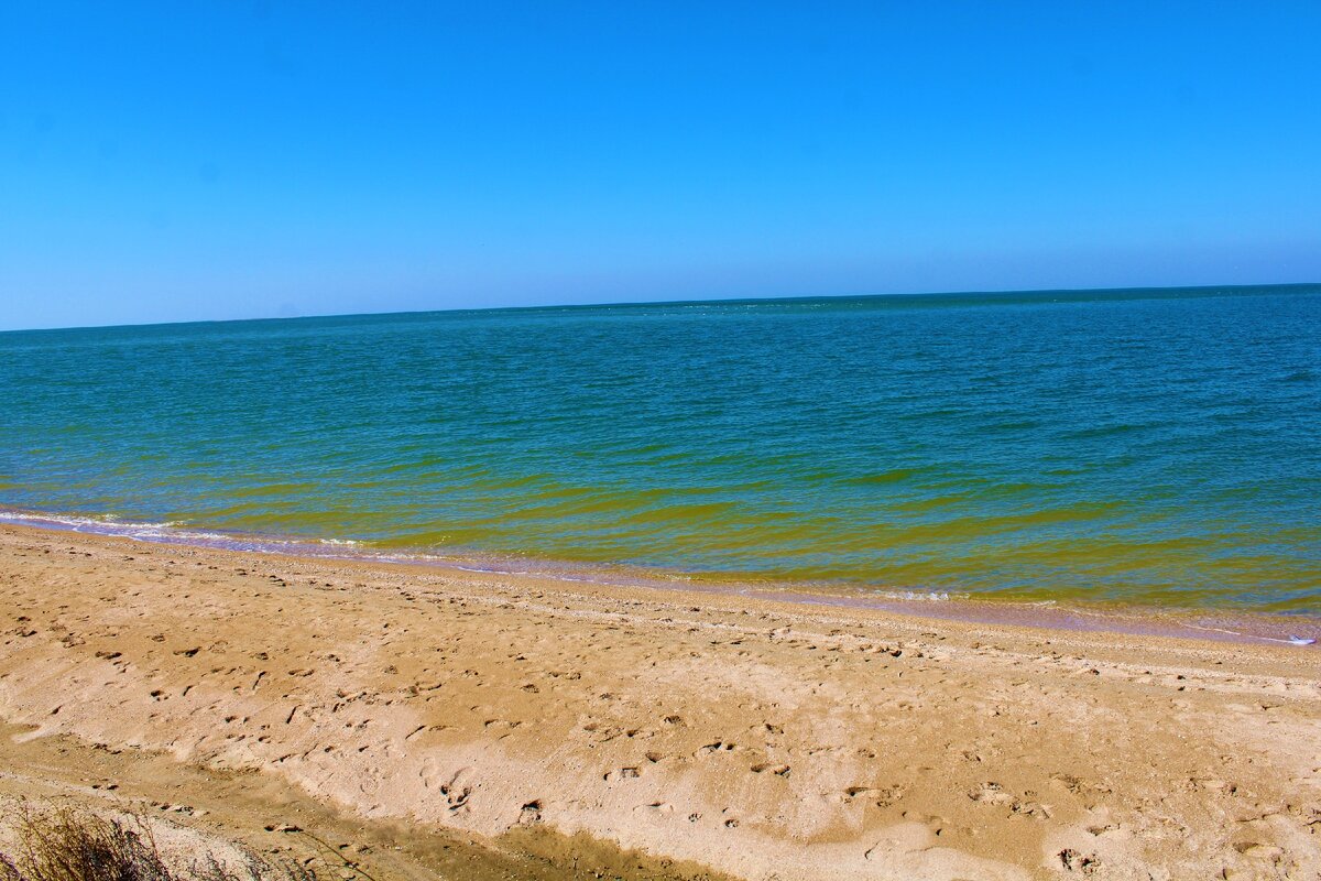 Море должанская фото азовское