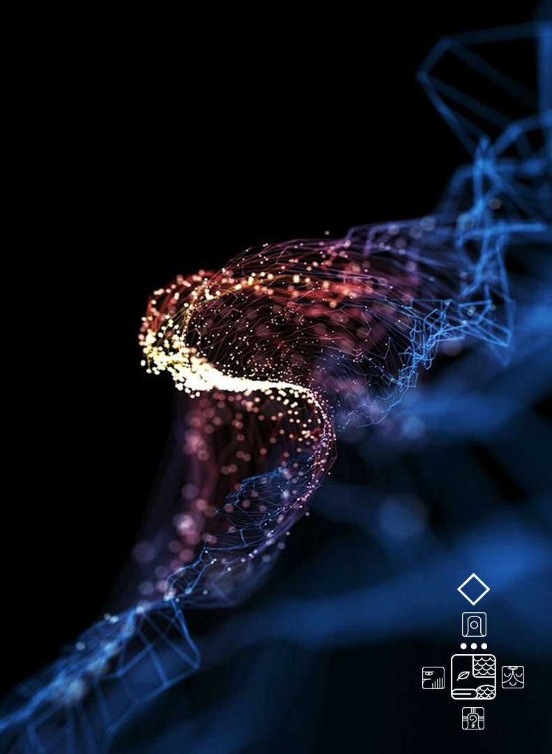 Красный Электрический Змей, Ош Чикчан, кин 185