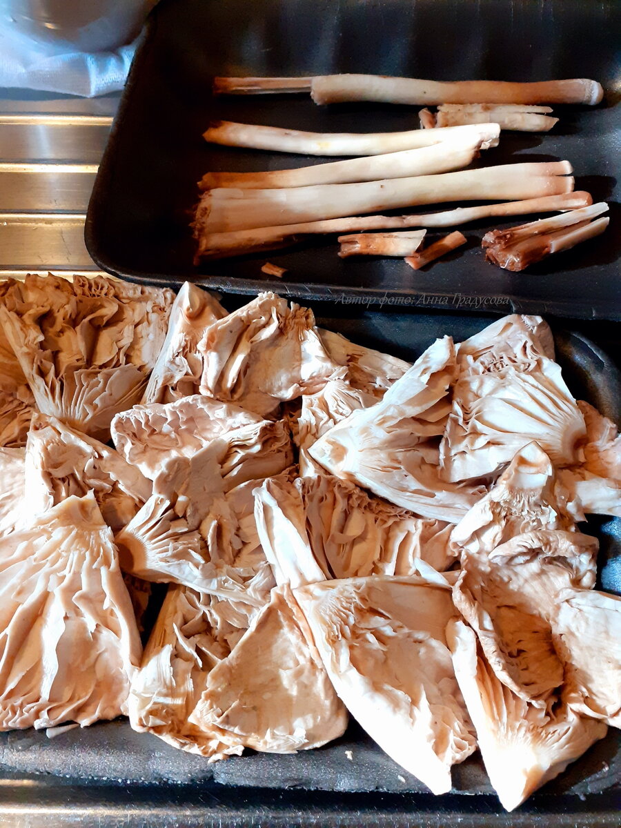 Нарезали и подсушили грибы. Ножки высушим и перемелем в кофемолке для приготовления ароматных грибных бульонов.