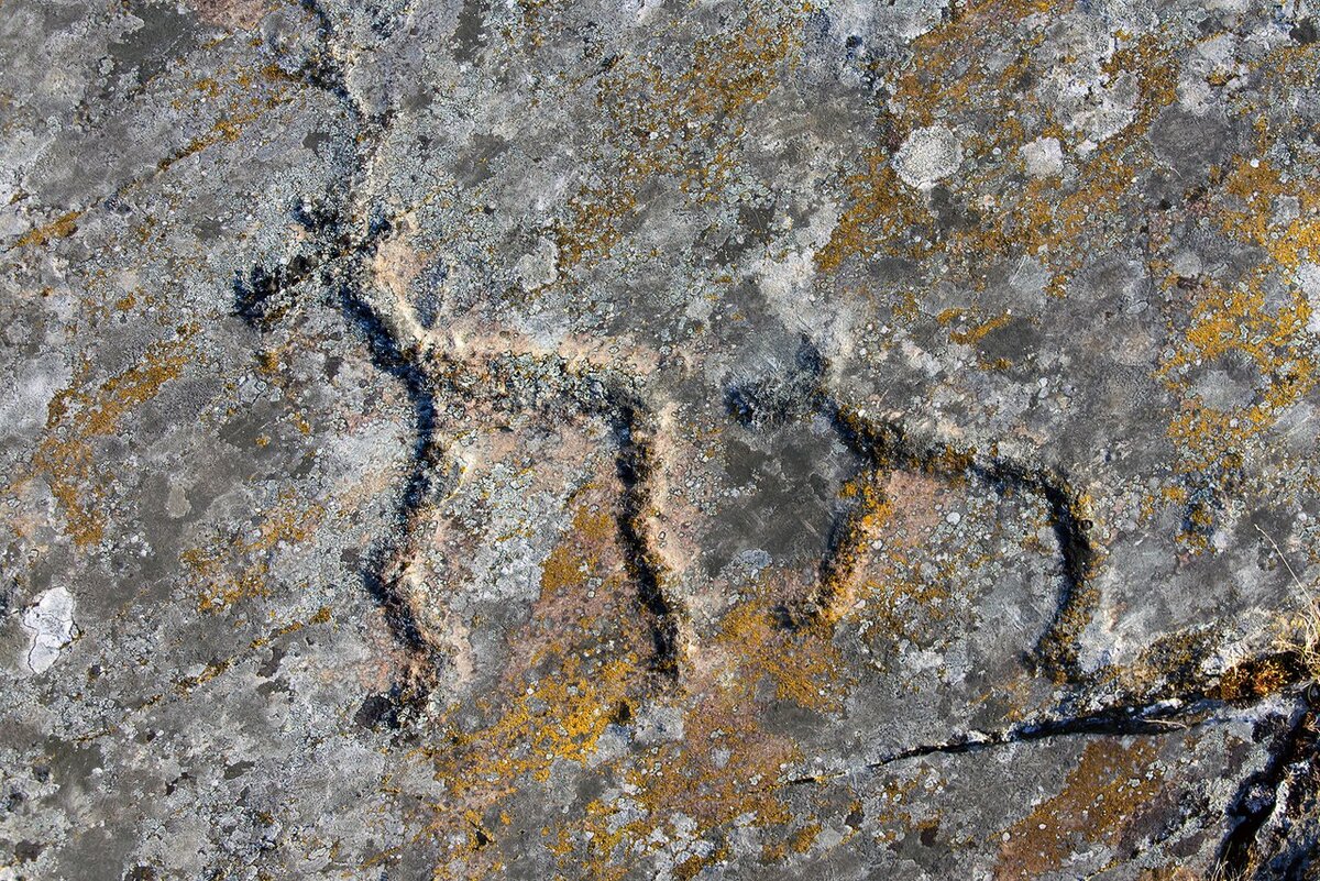 Петроглифы Канозера