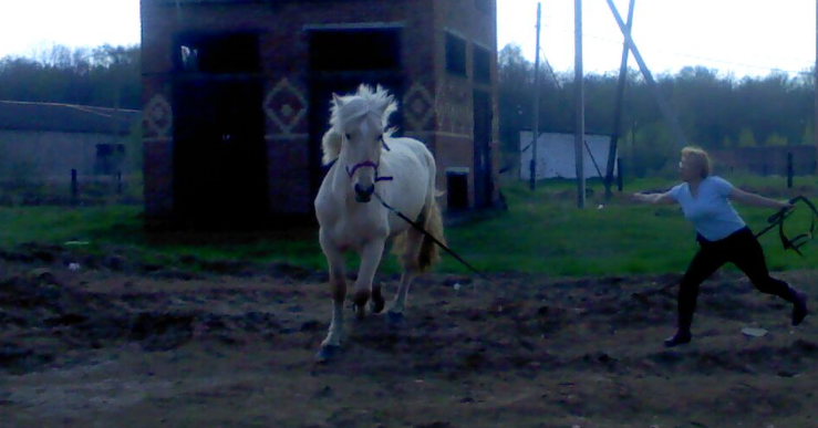 Фото автора