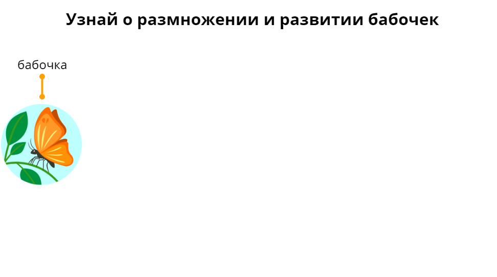 Хм, не знала. А давайте вместе узнаем? 