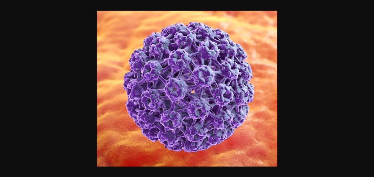 ВПЧ - вирус папилломы человека, сам по себе не очень безопасен.
Уже доказано по ВООЗ и научным трудам, что он является источником онкологии.
