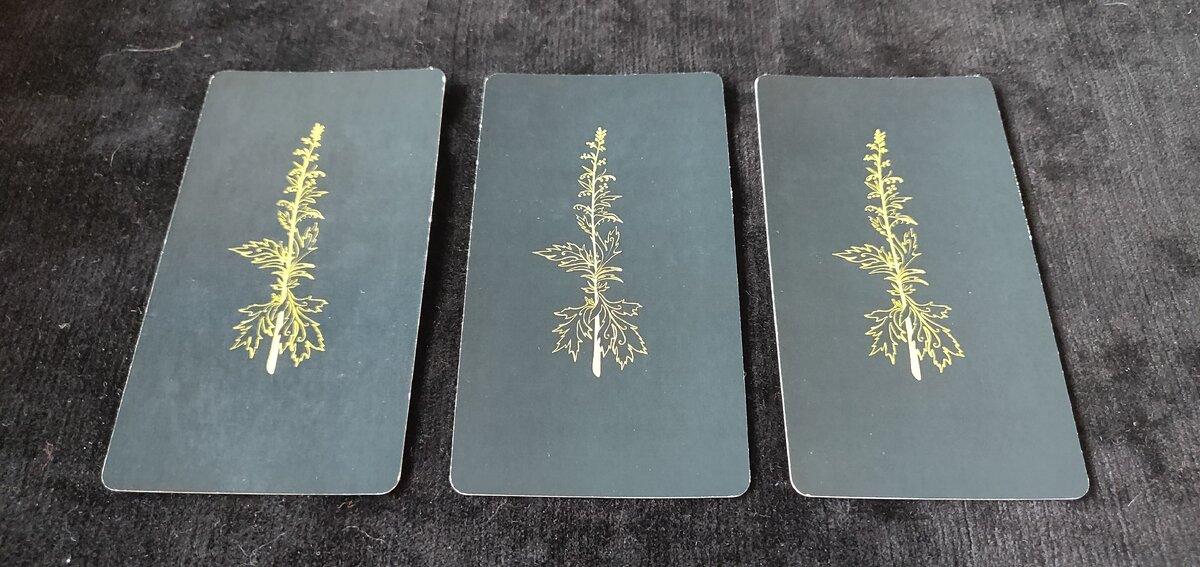 выбирайте карту