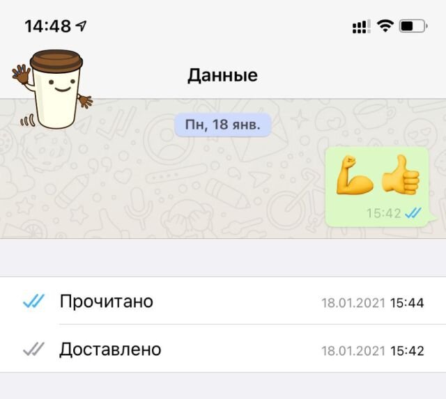 Не доходят сообщения в Whatsapp — объясним причины