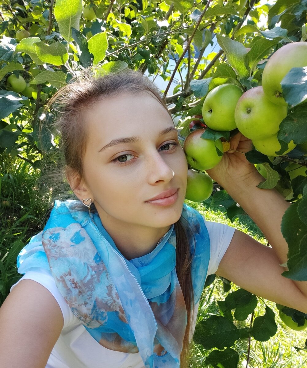 Лучшие сорта яблонь для средней полосы России подборка