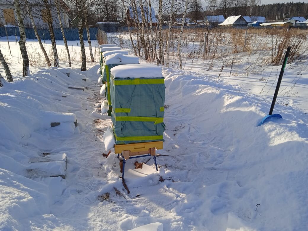 Улья ППУ. Дно открытое, сетчатое! Чищу снег, чтобы у пчелок всегда был свежий воздух