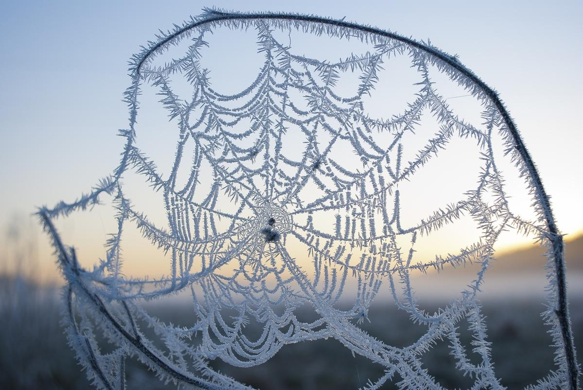 Иллюстрация из Яндекс картинок
