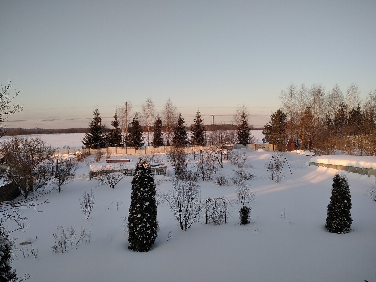 Наполнили розовым отсветом зимнюю картину