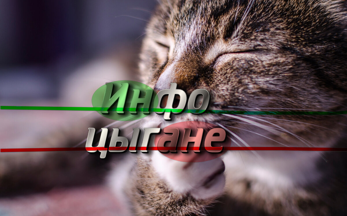 Рубрика смешные инфоцыгане.