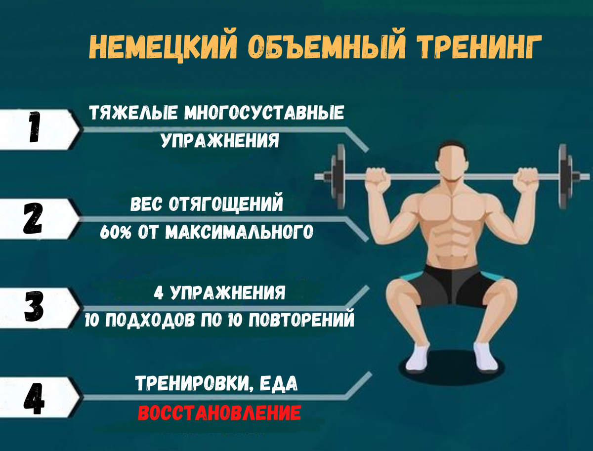 Насколько эффективен немецкий объемный тренинг для набора мышечной ...