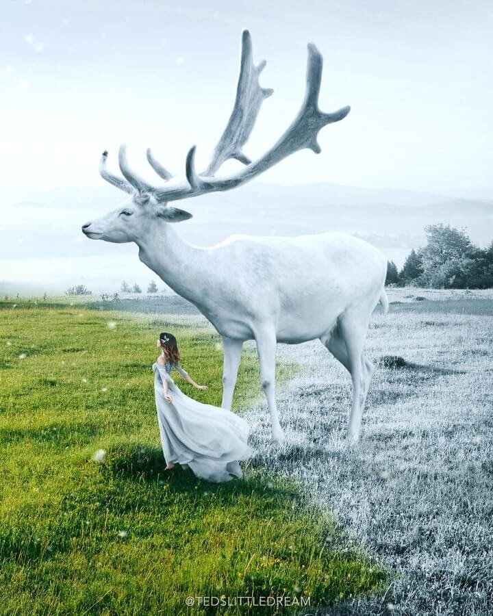 -2